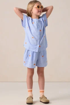 Blauwe gestreepte blouse met embroidery