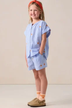 Blauwe gestreepte short met embroidery