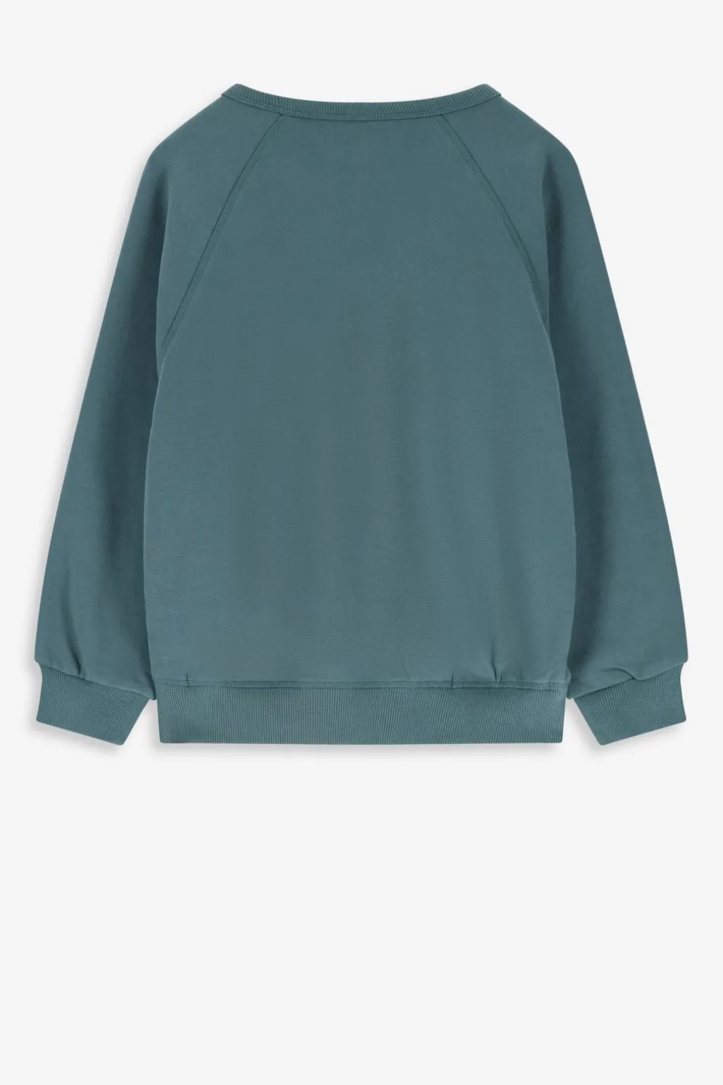 Blauwe raglan sweater met artwork