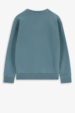 Blauwe sweater met fiets