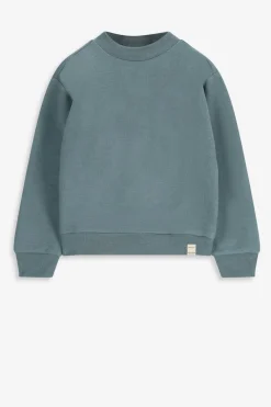 Blauwe sweater met hoge hals