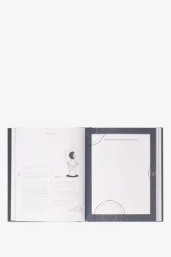 Boek Dromen