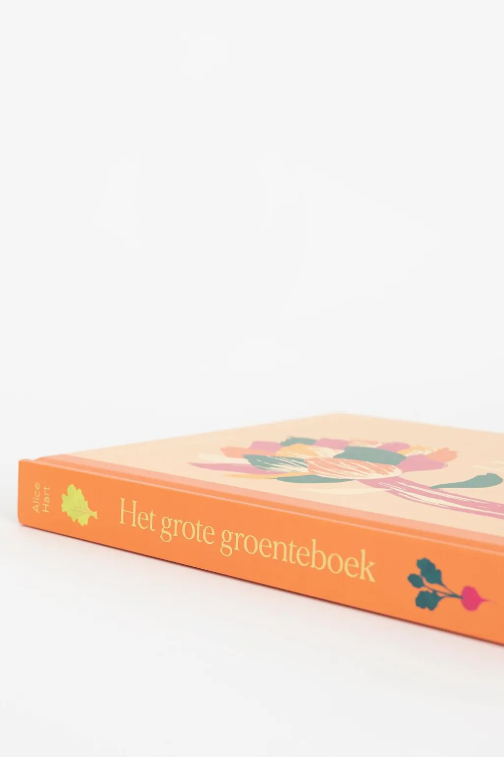 Boek Het grote groenteboek