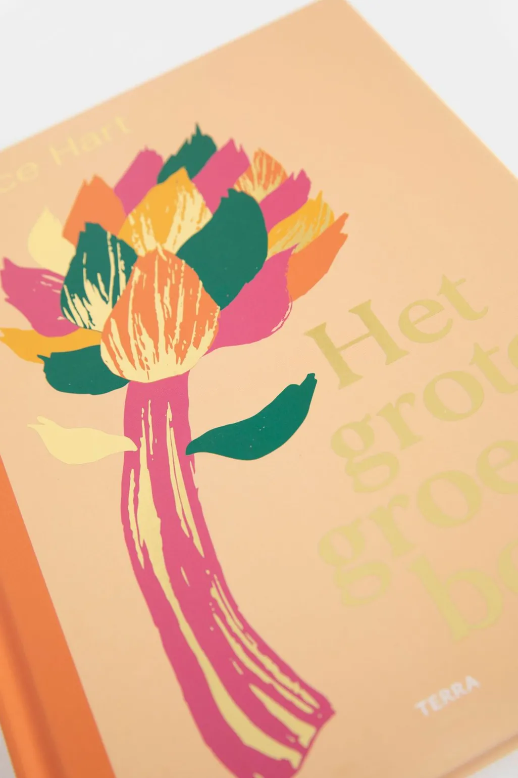 Boek Het grote groenteboek
