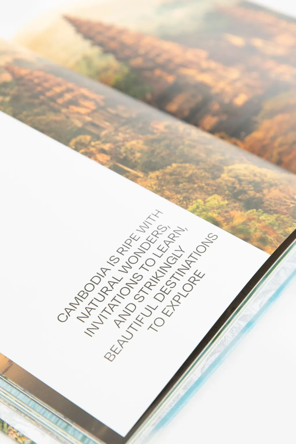 Boek Palmtree Destinations