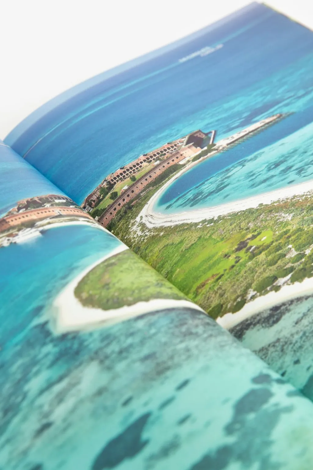 Boek Palmtree Destinations