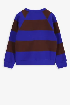 Bruin met blauw gestreepte sweater