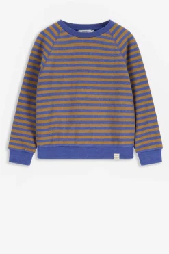 Bruin met blauw gestreepte sweater
