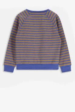Bruin met blauw gestreepte sweater