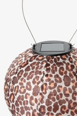 Bruine lantaarn met leopard print