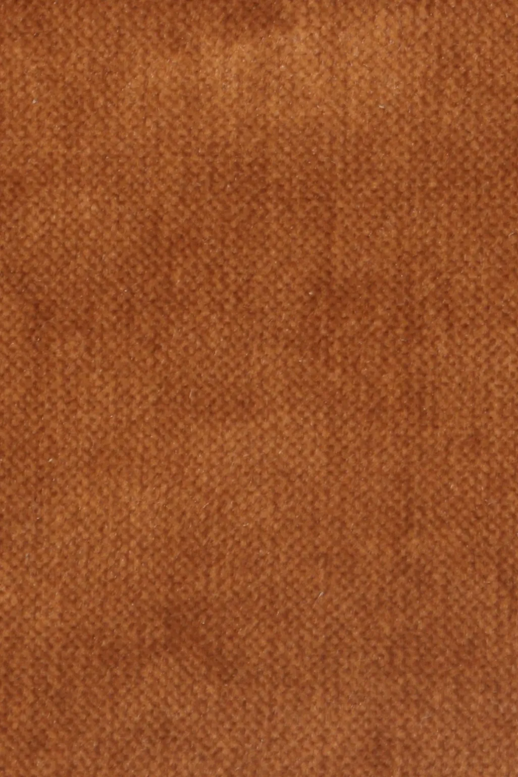 Earl velvet zit roest