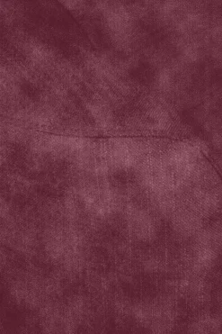 Empress velvet 3,5-zits bank wine red