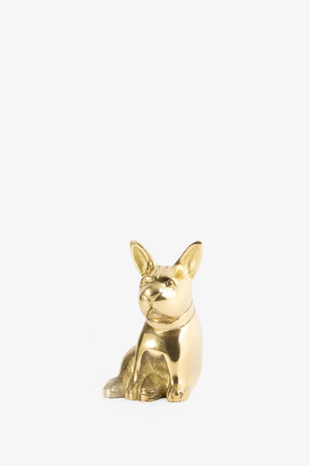 Goudkleurige flesopener bulldog