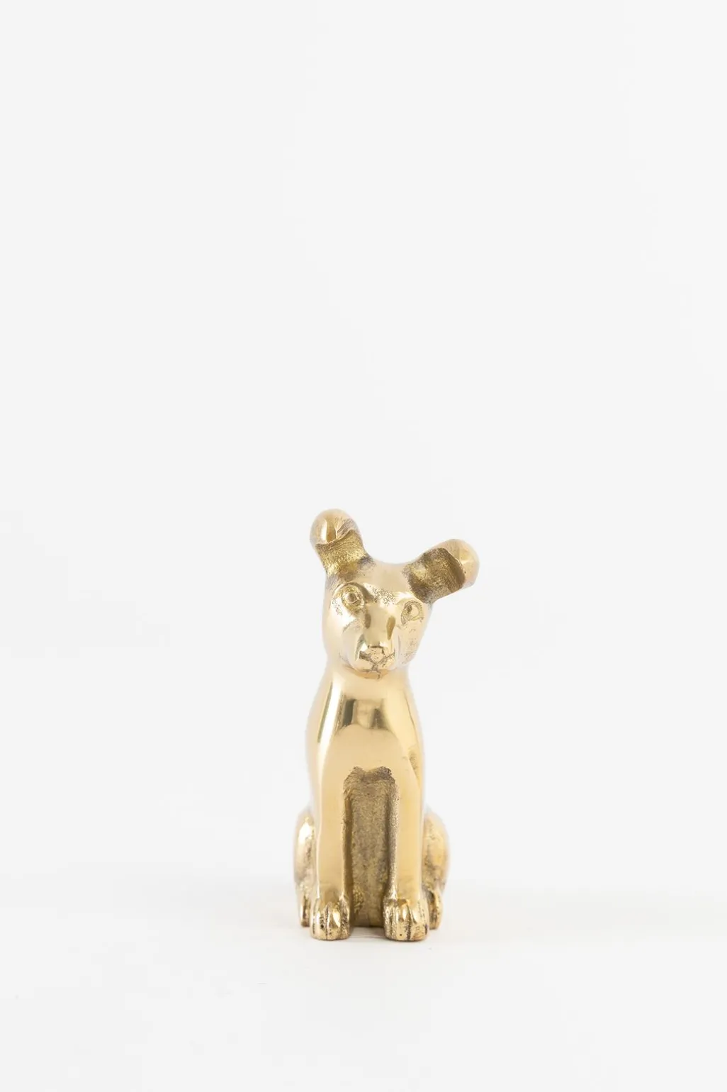 Goudkleurige kandelaar hond