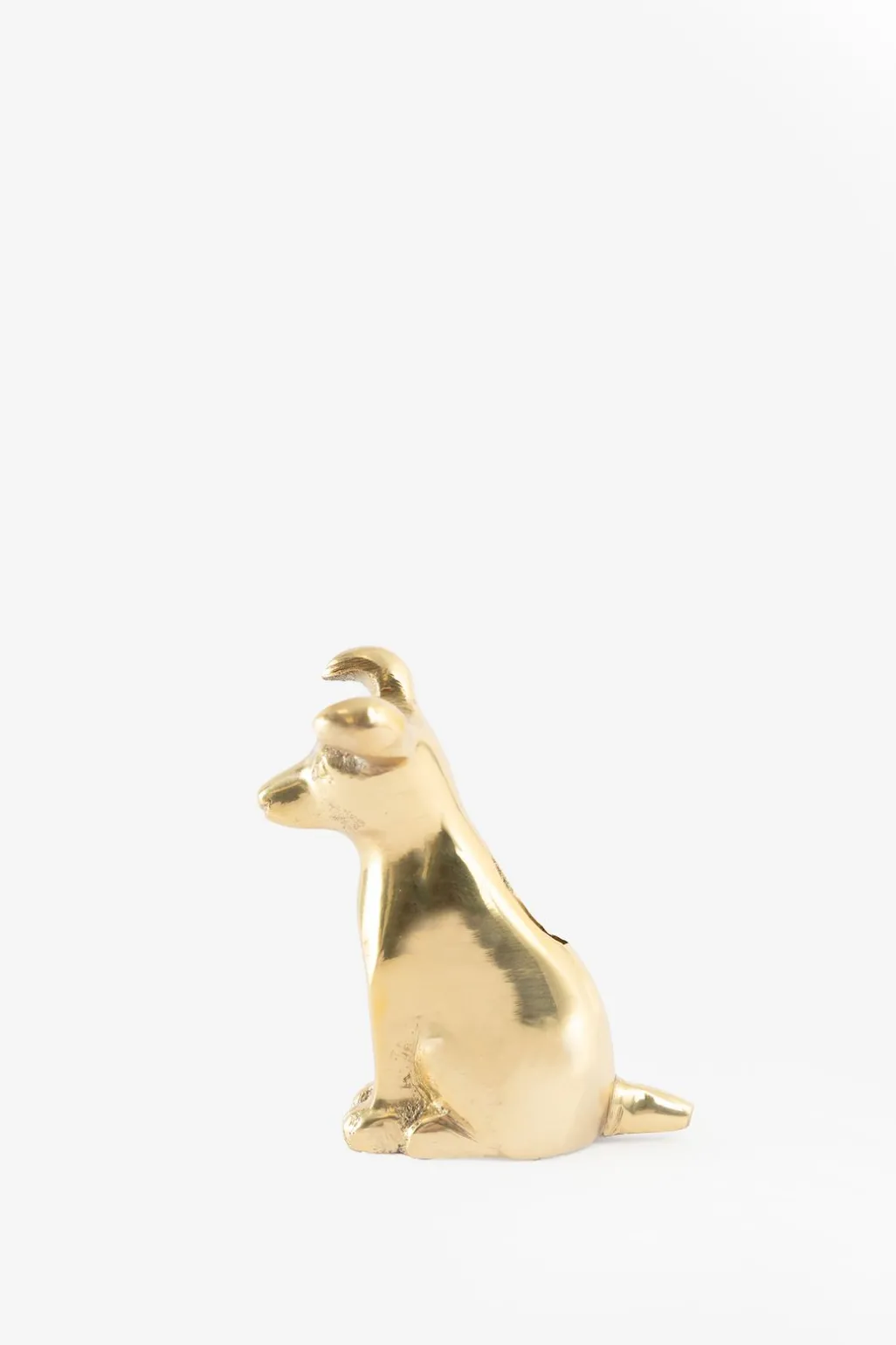 Goudkleurige kandelaar hond