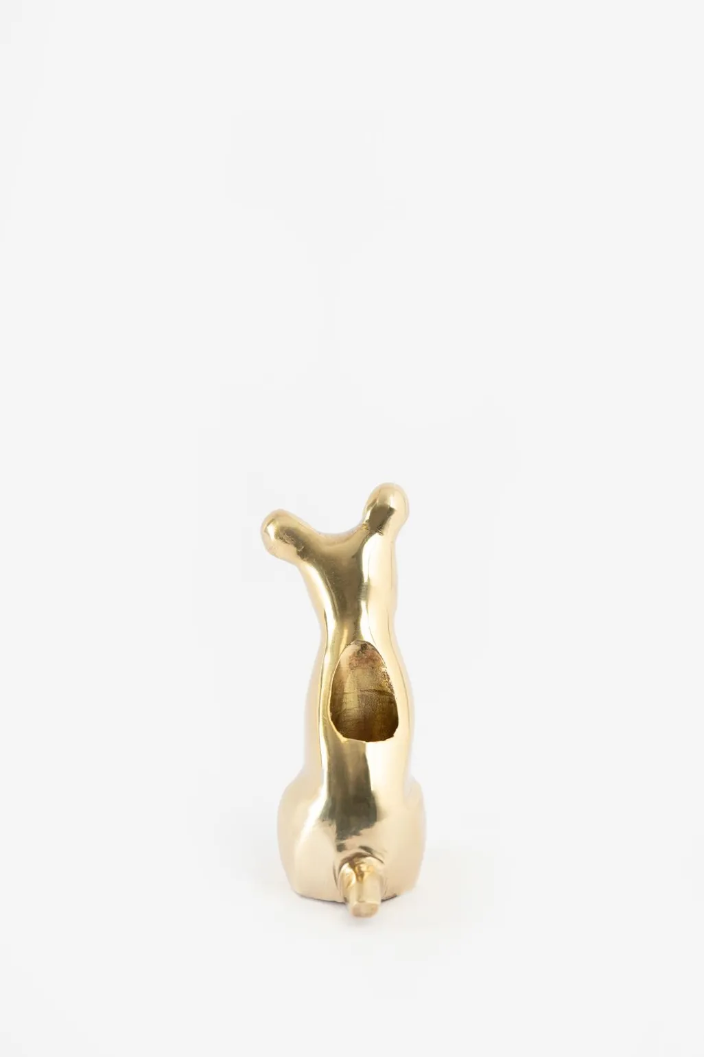 Goudkleurige kandelaar hond
