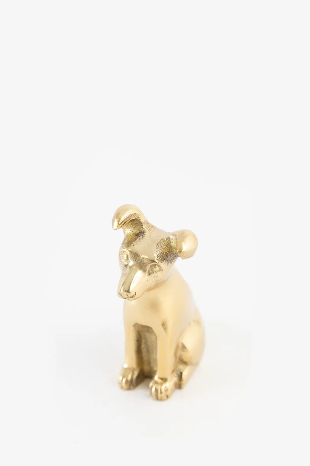 Goudkleurige kandelaar hond