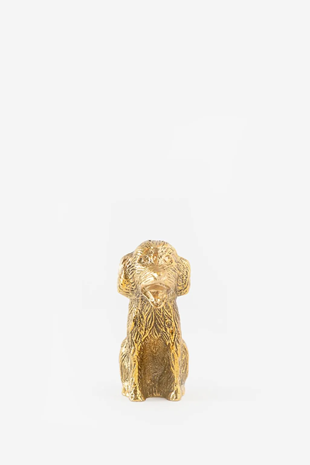 Goudkleurige kandelaar labradoodle