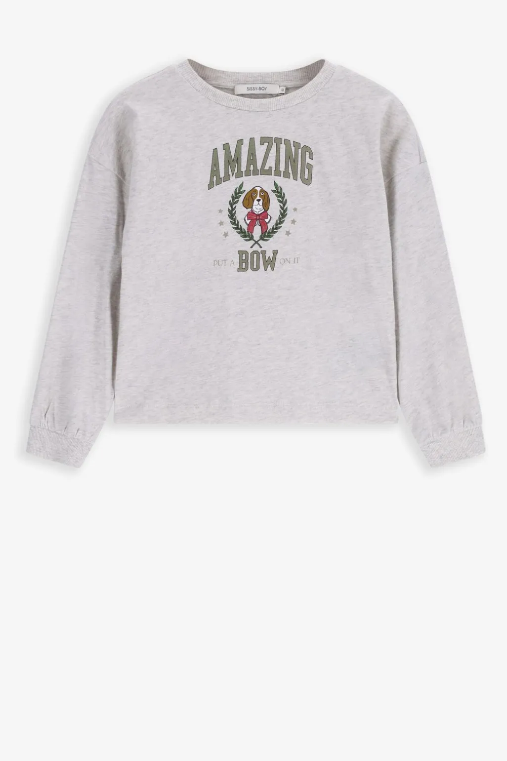 Grijze longsleeve met print