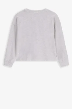 Grijze longsleeve met print