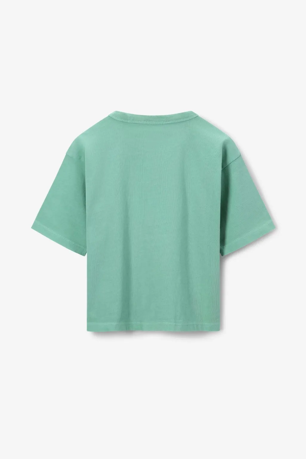 Groen T-shirt met citroen embroidery