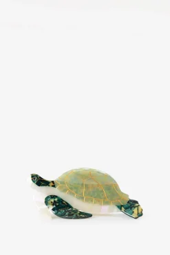 Groene haarklem schildpad