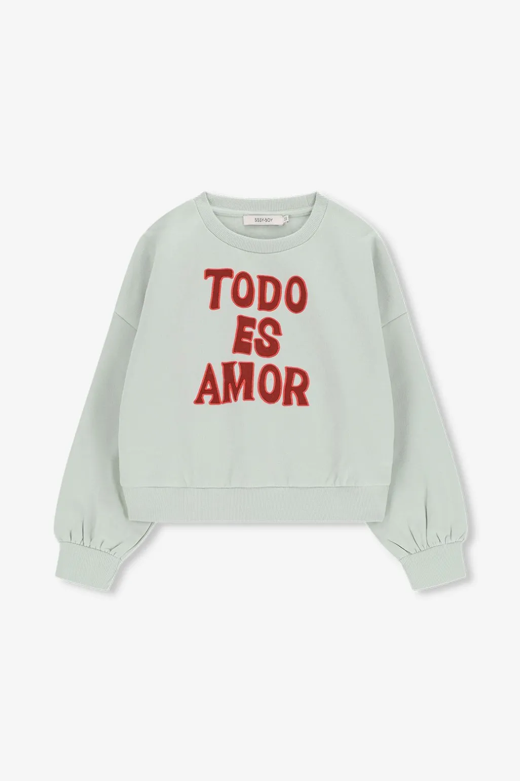 Lichtgroene sweater met tekst