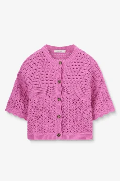 Roze ajour vest