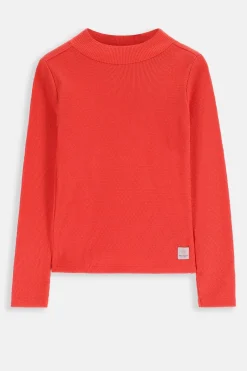 Roze longsleeve met turtle neck