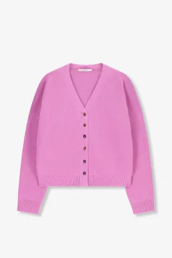 Roze vest met v-hals